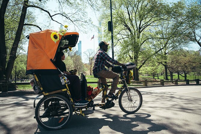 Private Central Park Guided Pedicab Tour - Bethesda Fountain begins the visual tour