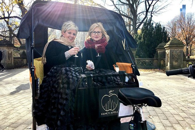 Private Central Park Guided Tour by Pedicab - Comfort, weather, and accessibility