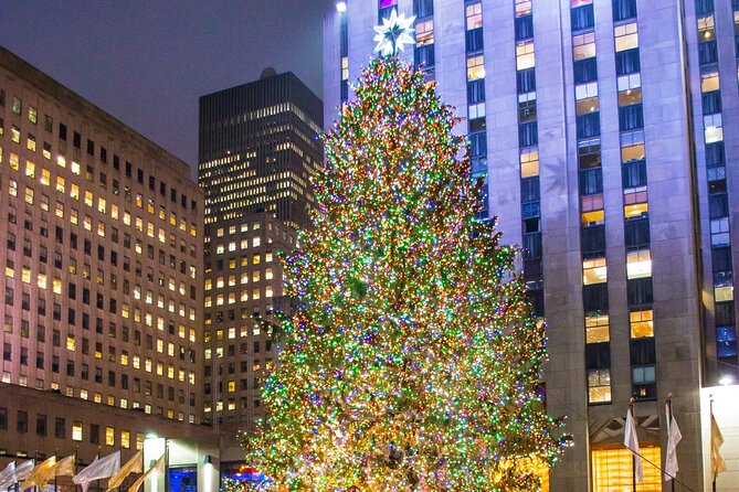 Private New York Christmas Tour with Driver and Guide - Little Italy and Union Square