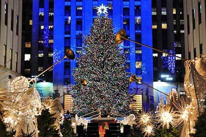 Private New York City Christmas Walking Tour - Fifth Avenue windows and the march to Herald Square