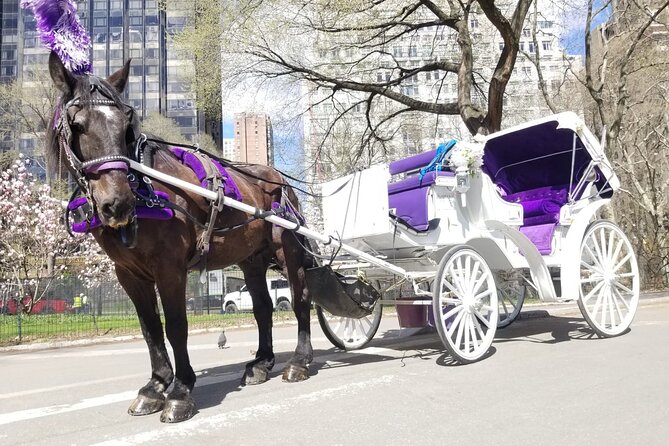 Private NYC Central Park Horse Carriage Ride (Guided) Since 1965™ - Why a carriage is a smart way to see Central Park
