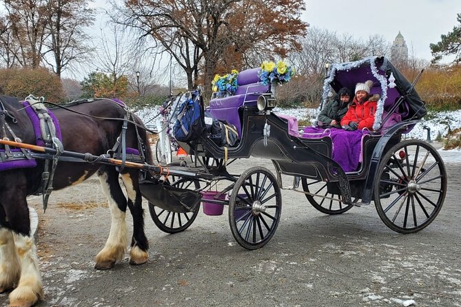 Private NYC Central Park Horse Carriage Ride (Guided) Since 1965™ - The Mall, Balto, and Rumsey Playfield