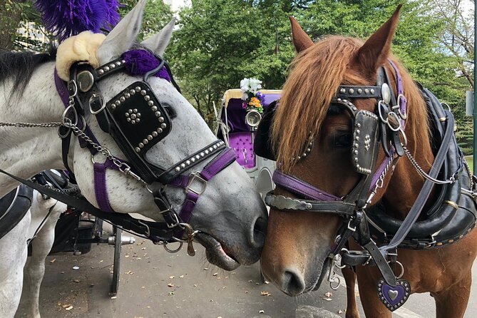 Private NYC Central Park Horse Carriage Ride (Guided) Since 1965™ - Bethesda Fountain and Cherry Hill photo stops