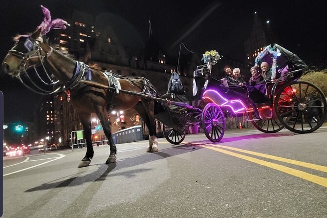 Private NYC Central Park Horse Carriage Ride (Guided) Since 1965™ - The Lake, Loeb Boathouse, and Bow Bridge views