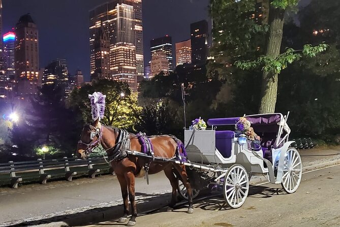 Private NYC Central Park Horse Carriage Ride (Guided) Since 1965™ - Sheep Meadow and the movie locations