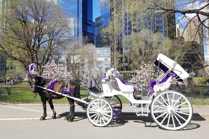 Private NYC Central Park Horse Carriage Ride (Guided) Since 1965™ - A private ride with a personal guide