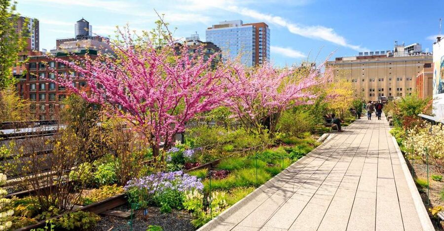 Private Tour of High Line, Chelsea, Hudson Yards and Edge - Adding Edge for the biggest view