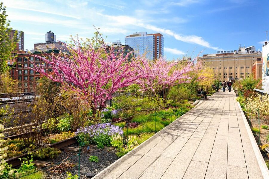 Private Tour of High Line, Chelsea, Hudson Yards and Edge - Choosing between four tour versions