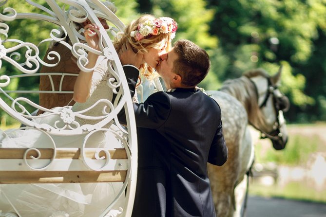 Romantic Proposal Carriage Tour in Central Park - Why this carriage ride works for a Central Park proposal