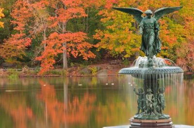 Romantic Proposal Carriage Tour in Central Park