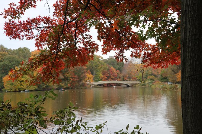 Romantic Proposal Carriage Tour in Central Park - A proposal plan with roses, champagne, and photographs