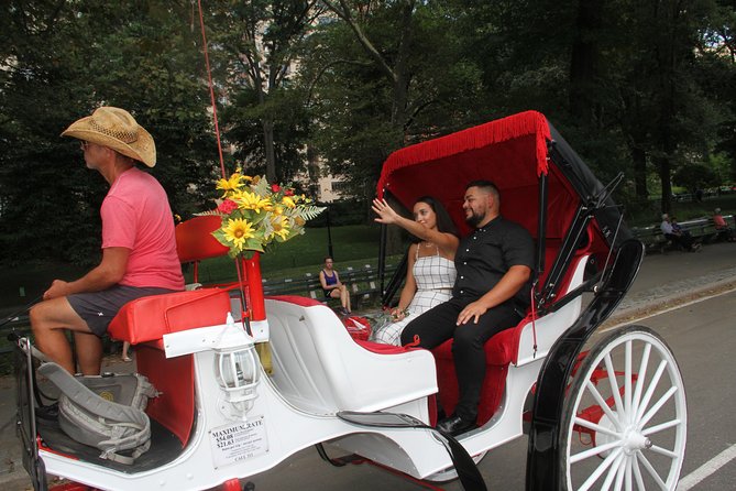 Romantic Proposal Carriage Tour in Central Park - Scheduling, cancellations, and New York weather