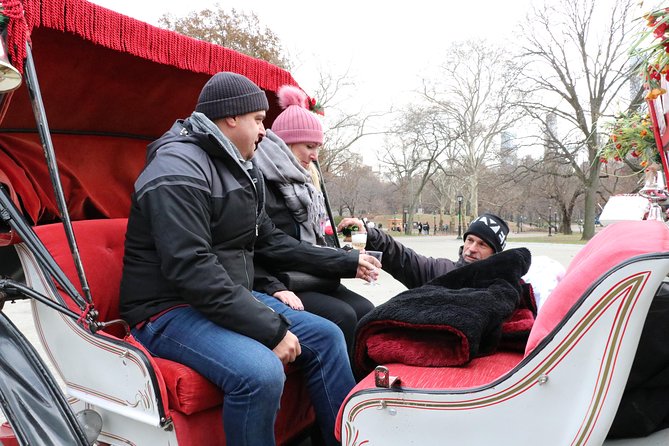 Romantic Proposal Carriage Tour in Central Park - Who should book this Central Park carriage tour