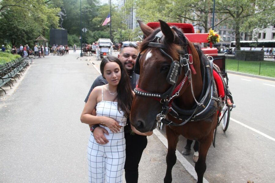 Romantic/Proposal Central Park Carriage Tour Up to 4 Adults - Key points to know before booking