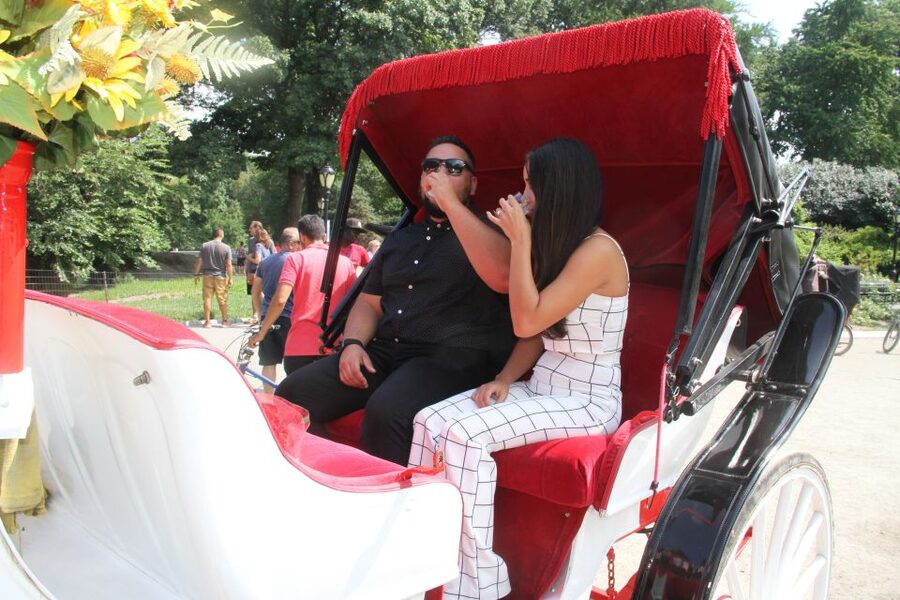 Romantic/Proposal Central Park Carriage Tour Up to 4 Adults - Weather, comfort, and access