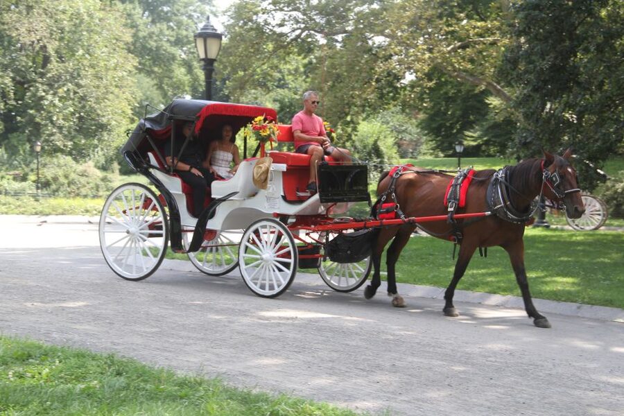 Romantic/Proposal Central Park Carriage Tour Up to 4 Adults - Why this carriage ride works for a proposal