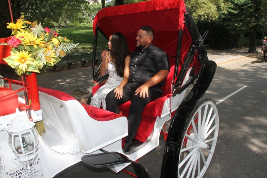 Romantic/Proposal Central Park Carriage Tour Up to 4 Adults - Riding through Central Park by horse and carriage