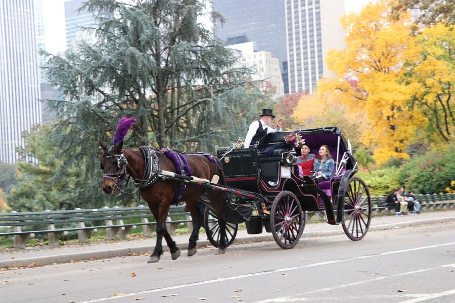 Romantic/Proposal Central Park Carriage Tour Up to 4 Adults - Choosing Bow Bridge for the big moment