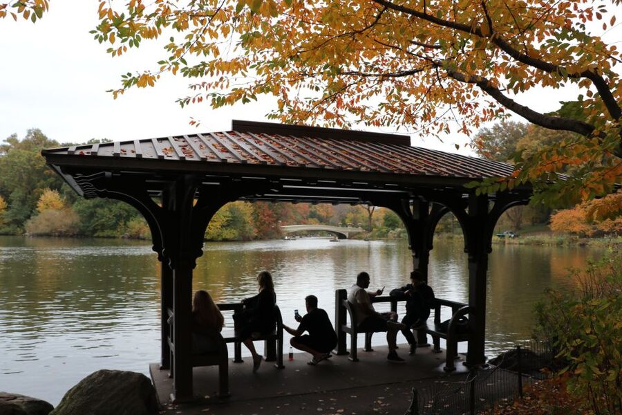 Romantic/Proposal Central Park Carriage Tour Up to 4 Adults - Choosing Bethesda Fountain and Terrace