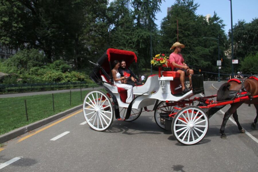 Romantic/Proposal Central Park Carriage Tour Up to 4 Adults - Champagne, roses, and the photography option