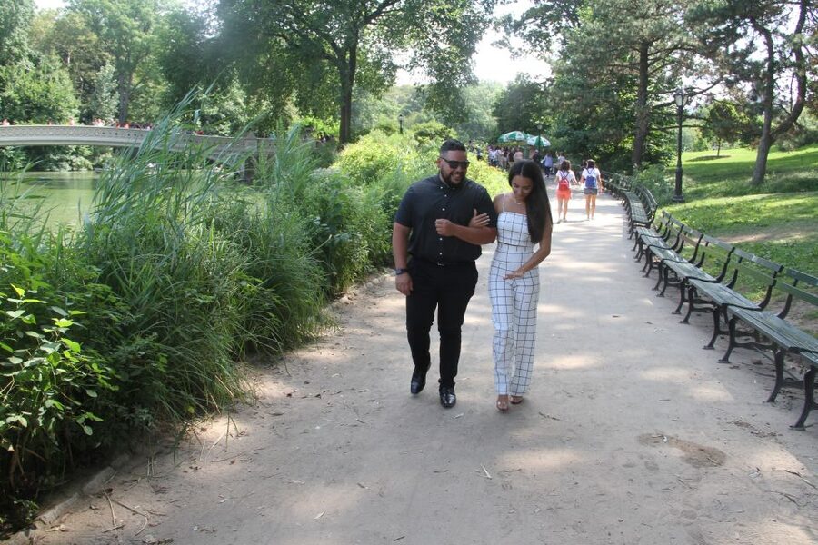 Romantic/Proposal Central Park Carriage Tour Up to 4 Adults - What the guide adds to the ride