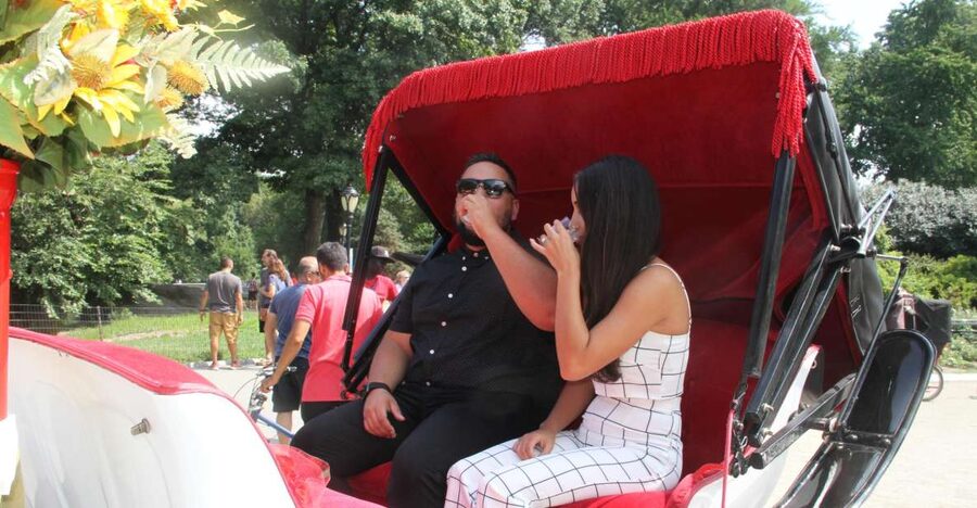 Romantic/Proposal Central Park Carriage Tour Up to 4 Adults - Is $425 a fair price?