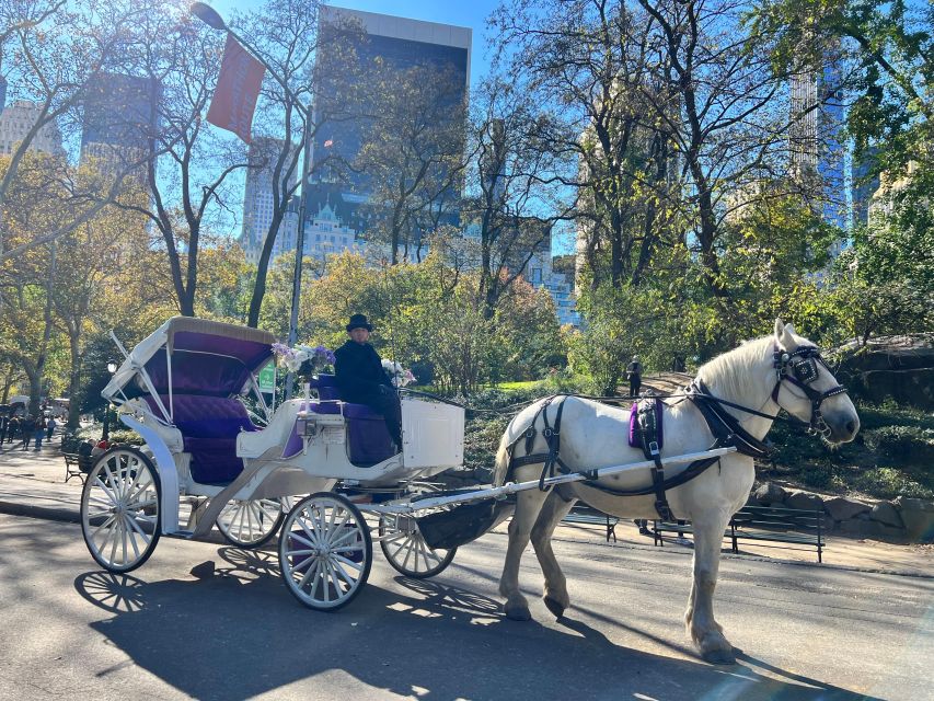 Royal Carriage Ride in Central Park NYC - A classic Central Park ride with useful stops