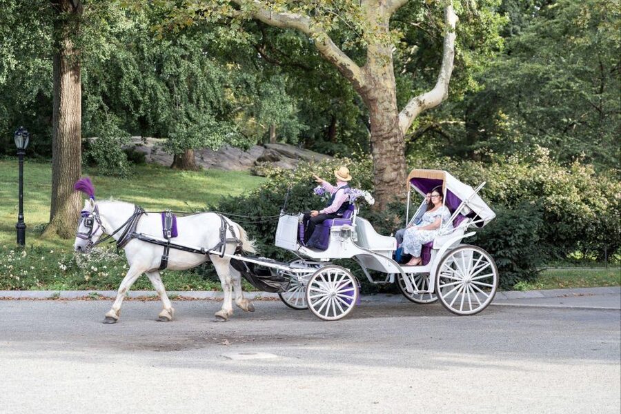 Royal Carriage Ride in Central Park NYC - Who will enjoy this ride most
