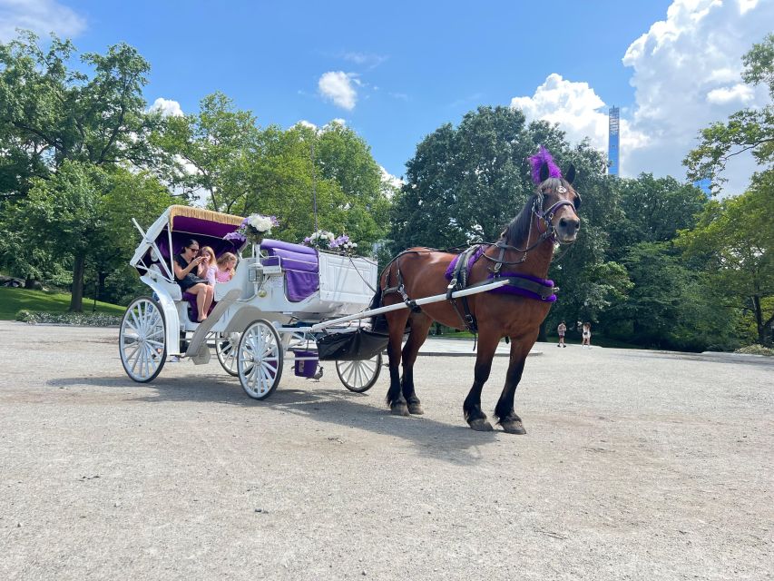 Royal Carriage Ride in Central Park NYC - Strawberry Fields gives the ride a more reflective finish