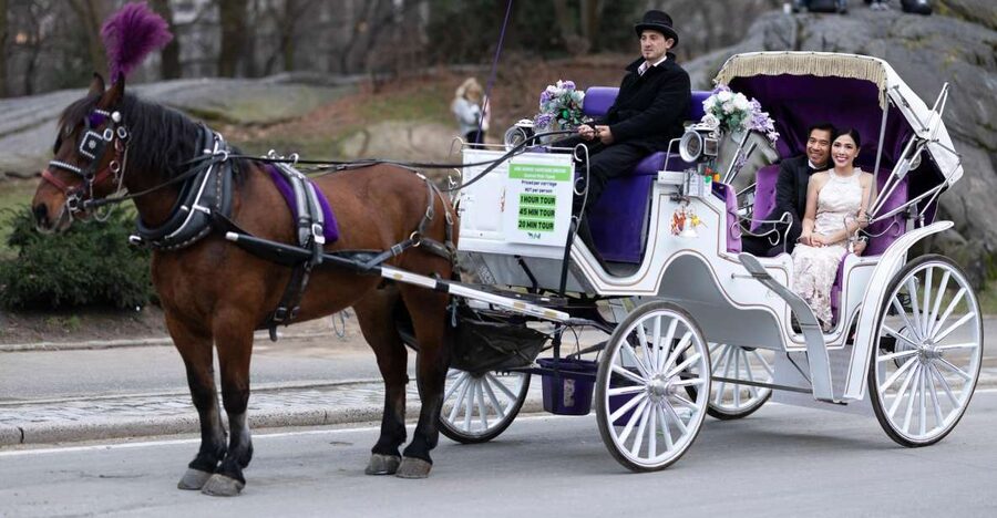 Royal Carriage Ride in Central Park NYC - The price makes sense for a group of four