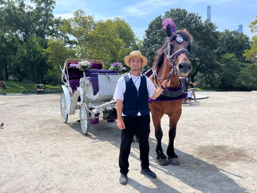 Royal Carriage Ride in Central Park NYC - What the meeting point is really like