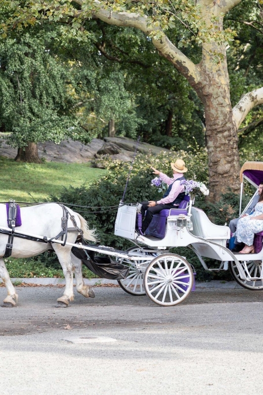 Royal Carriage Ride in Central Park NYC - Group size needs careful attention