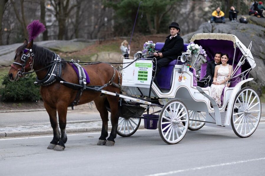 Royal Carriage Ride in Central Park NYC - Timing, languages, and comfort