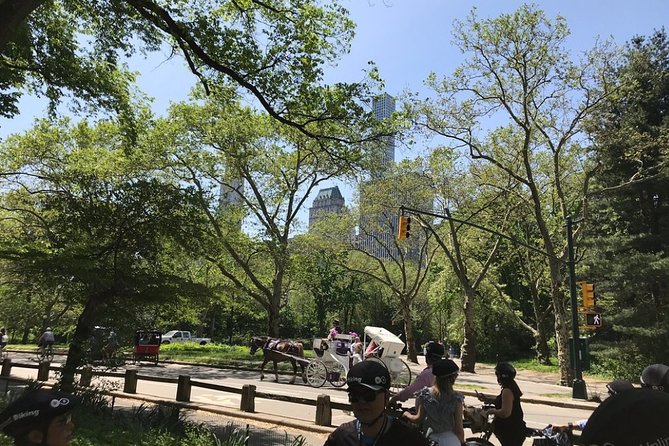 Scenic Manhattan Highlights Bike Tour (English or German) - What the guide adds to the ride
