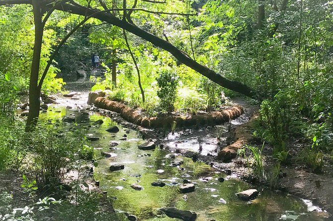 Secret Places of Central Park - Finding the Ravine in the North Woods