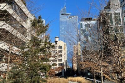 The Story of the High Line Elevated Park and Hudson Yards