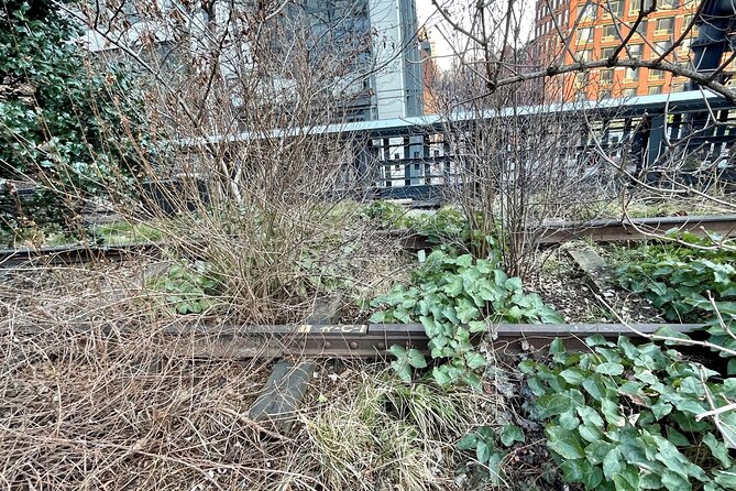 The Story of the High Line Elevated Park and Hudson Yards - Who will get the most from this experience