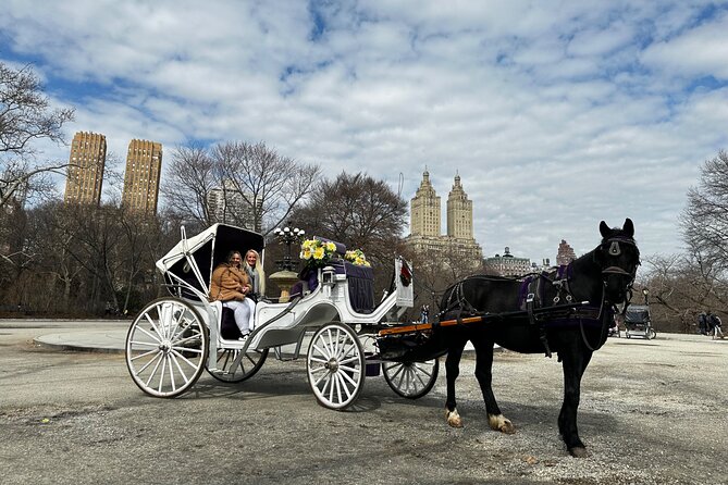 Unforgettable Luxury Horse and Carriage Tours in Central Park - Why a short carriage ride works in Central Park
