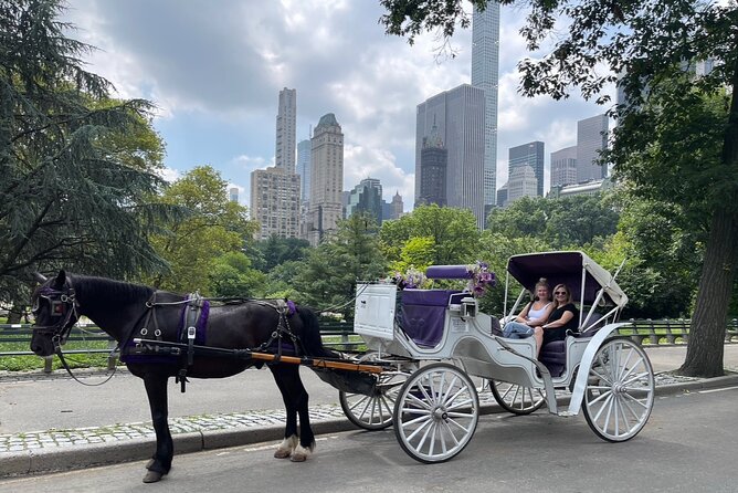 Unforgettable Luxury Horse and Carriage Tours in Central Park - Ice-skating scenes and Central Park movie locations