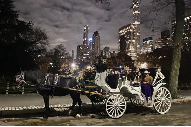 Unforgettable Luxury Horse and Carriage Tours in Central Park - The carousel and an old American tradition