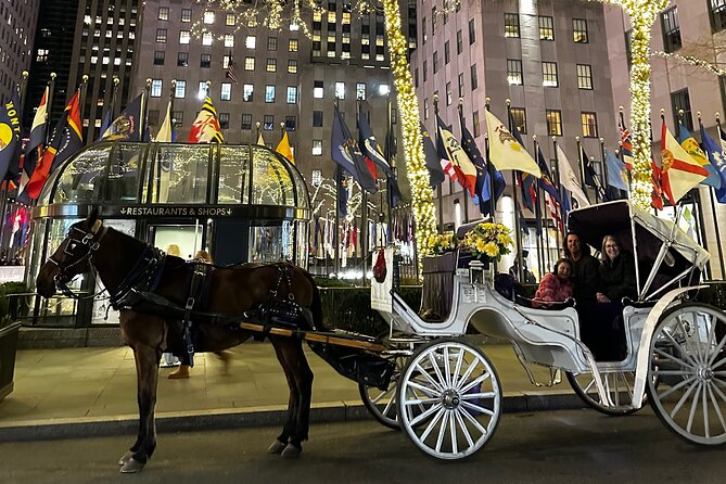 Unforgettable Luxury Horse and Carriage Tours in Central Park - Balto, the famous sled dog