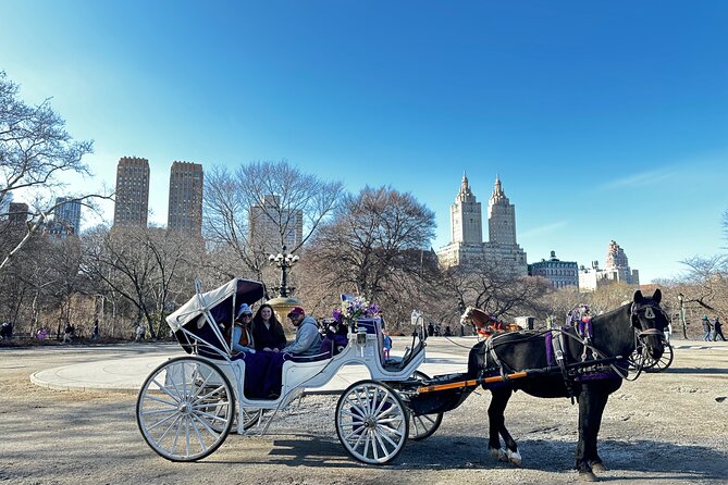 Unforgettable Luxury Horse and Carriage Tours in Central Park - Bethesda Terrace, the central photo stop