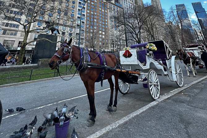 Unforgettable Luxury Horse and Carriage Tours in Central Park - The Dakota and the John Lennon memorial