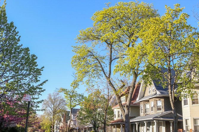 Victorian Flatbush , Brooklyn Private Tour - Entering Ditmas Park and its Victorian streets