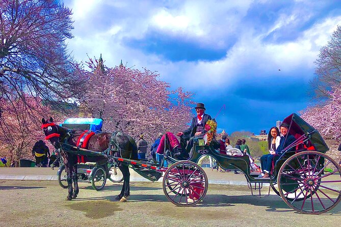 VIP Central Park Champagne Tour with Photos(50 min)~Skip the line - Bethesda Terrace adds a grander backdrop