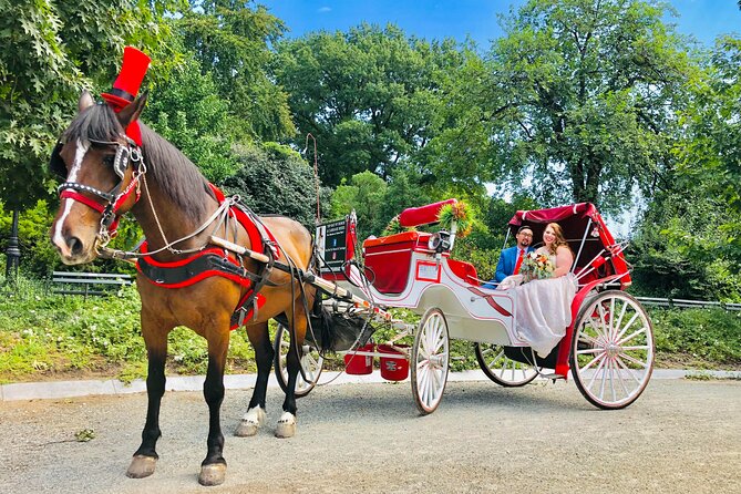 VIP Central Park Champagne Tour with Photos(50 min)~Skip the line - Is $269.99 a fair price?