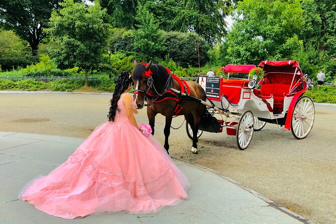 VIP Central Park Champagne Tour with Photos(50 min)~Skip the line - Who will enjoy this Central Park ride?