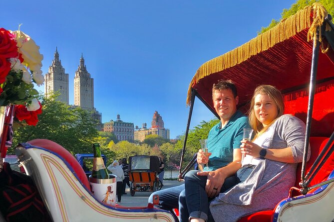 VIP Central Park Champagne Tour with Photos(50 min)~Skip the line - Champagne, blankets, and the horse-drawn setting