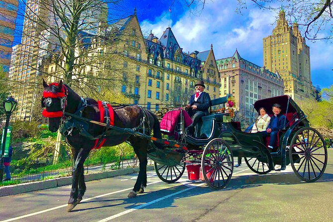 VIP Central Park Experience Tour with photos 50min~Skip the line - The southern park sights, from the rink to the Dairy