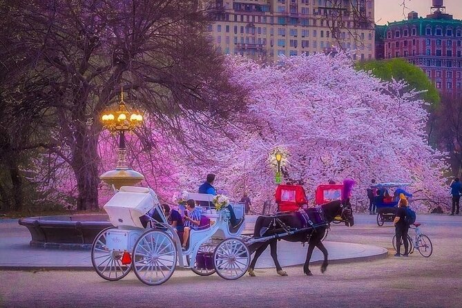 VIP Central Park Experience Tour with photos 50min~Skip the line - Strawberry Fields and the Dakota